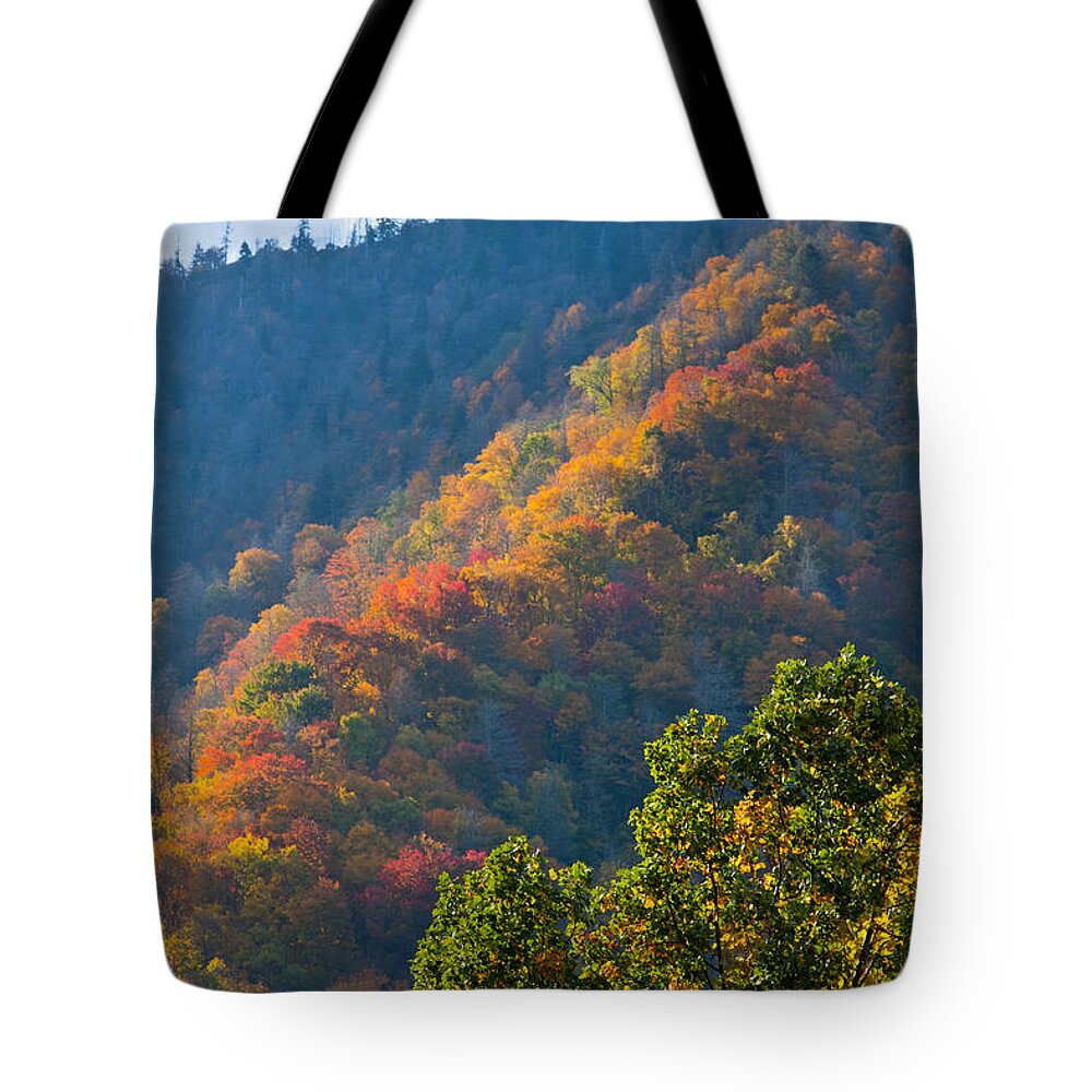 Mountain Tote Bag featuring the photograph Fall Smoky Mountains #1 by Melinda Fawver