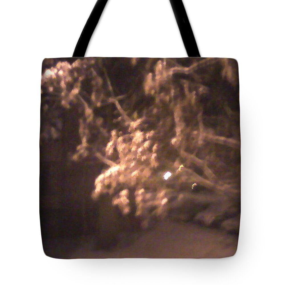 Early Snow Tote Bag featuring the photograph First Snow by Suzanne Berthier