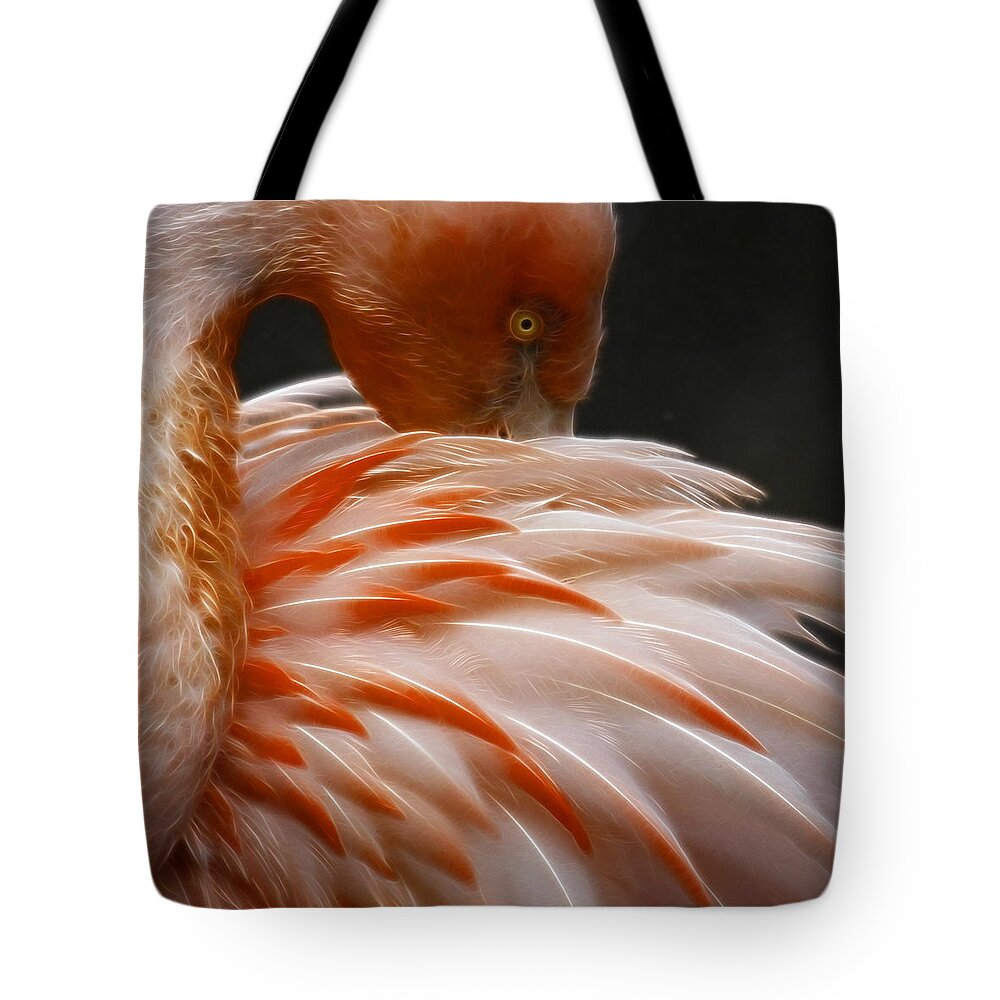 Fine Art Tote Bag featuring the photograph Flamingo #2 by Steve McKinzie