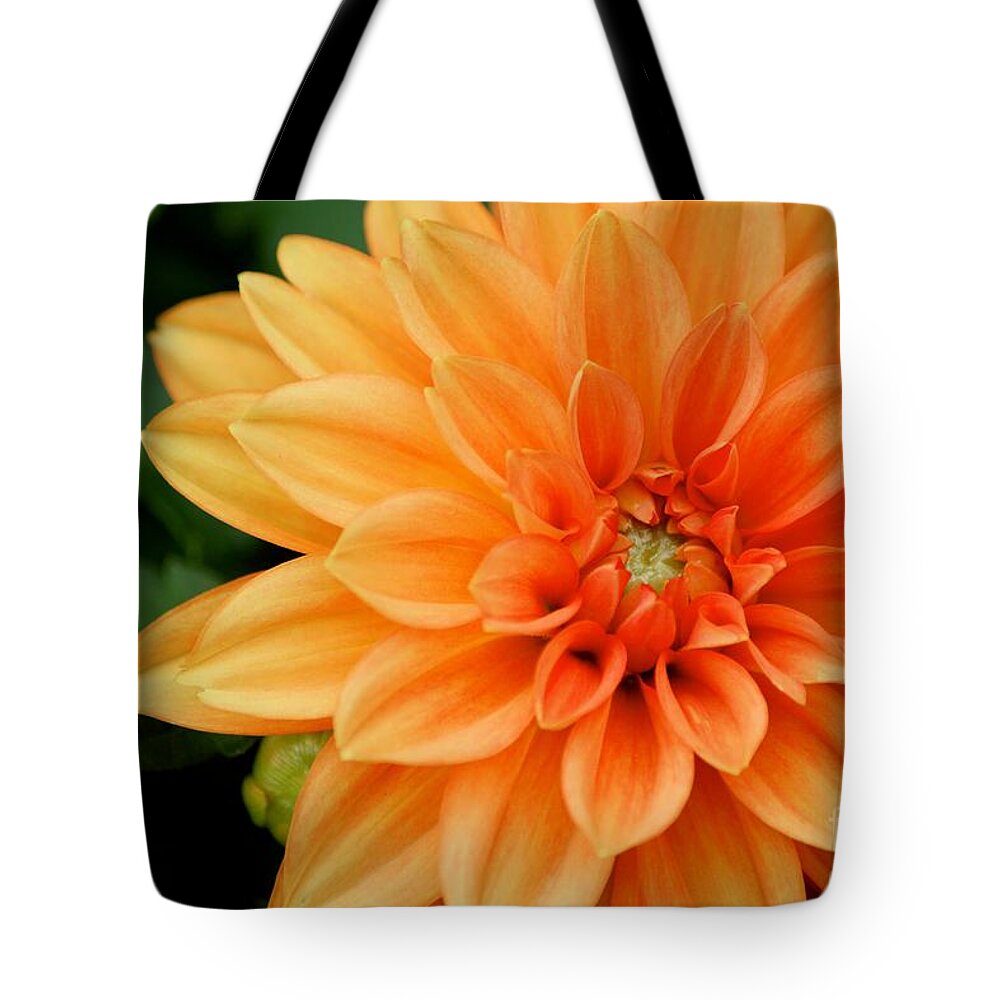 Orange Flower Tote Bag featuring the photograph Flower by Deena Withycombe