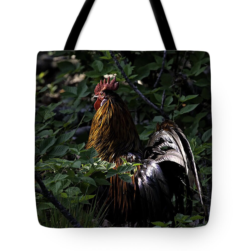 Rooster Tote Bag featuring the photograph Free Range Rooster at Sunrise by Michael Dougherty