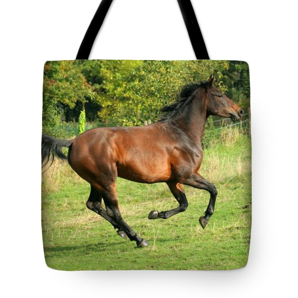 Horse Tote Bag featuring the photograph Gallop #1 by Ang El