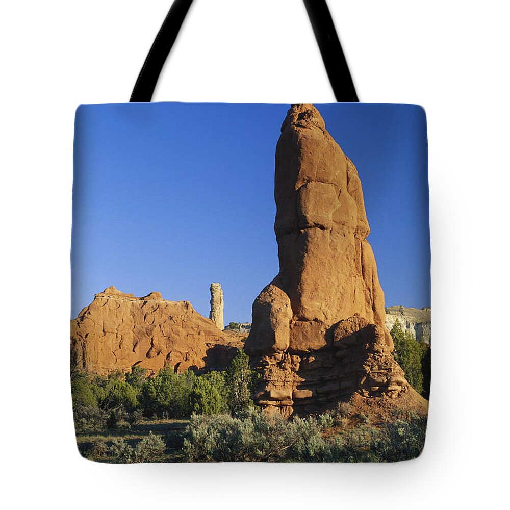 1997 Tote Bag featuring the photograph Geyser Remnant, Kodachrome Basin, Utah #1 by James Steinberg