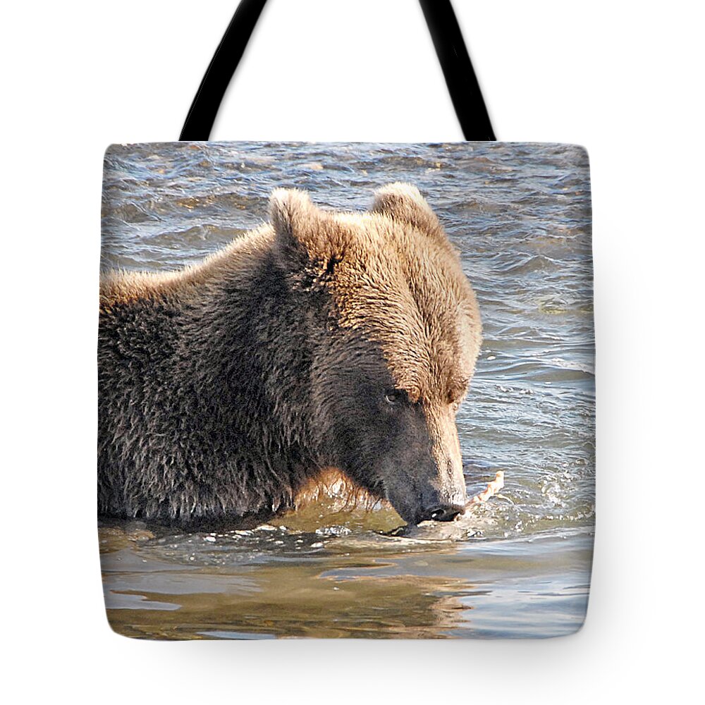 Grizzly Tote Bag featuring the photograph Go Ahead Make My Day by Dyle  Warren