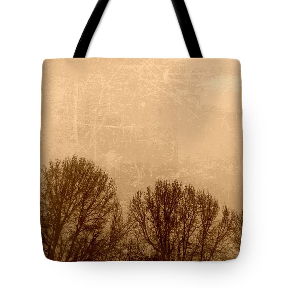 Nature Tote Bag featuring the photograph Late autumn by Fei A