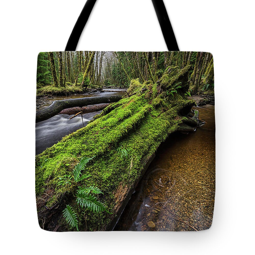 Outdoors Tote Bag featuring the photograph Haans Creek Flows Through The Green #1 by Robert Postma