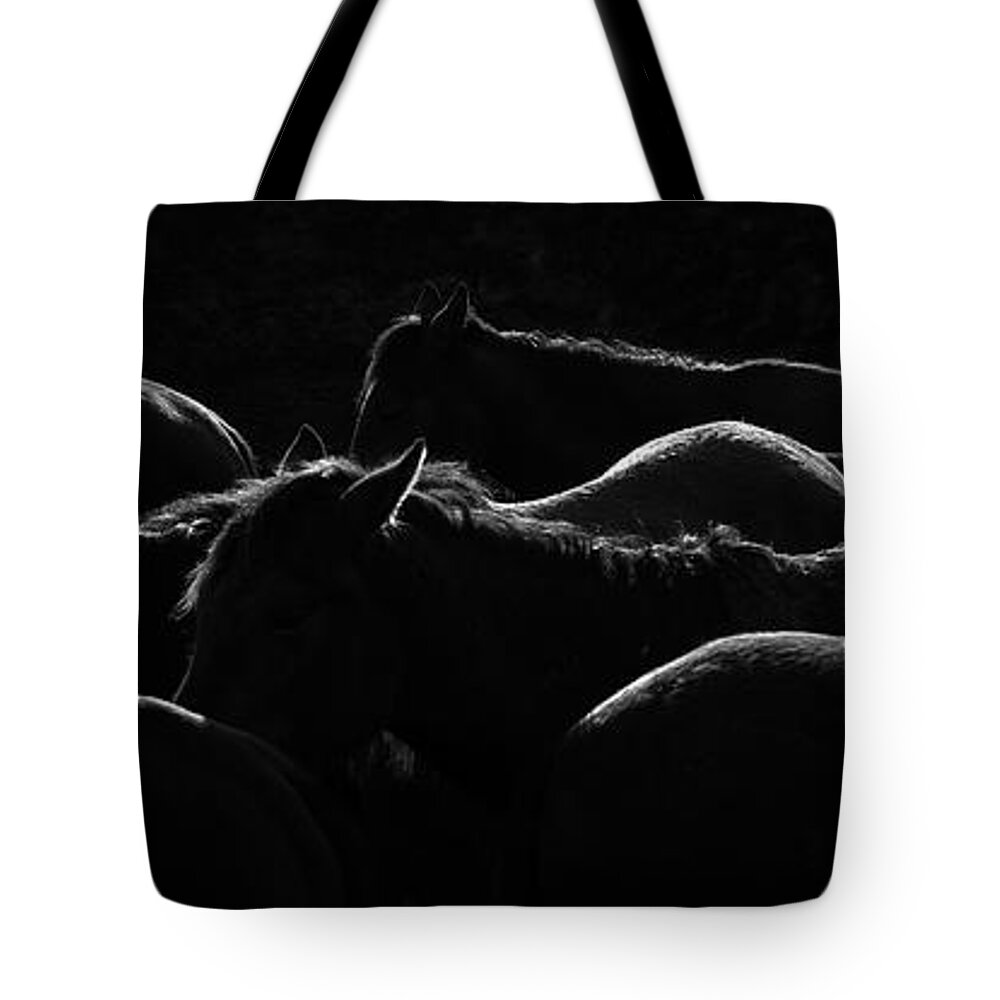 Horse Tote Bag featuring the photograph Herd Of Horse #1 by Okeyphotos