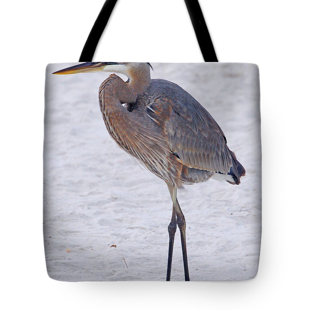Bird Tote Bag featuring the painting Heron on Beach #1 by Michael Thomas