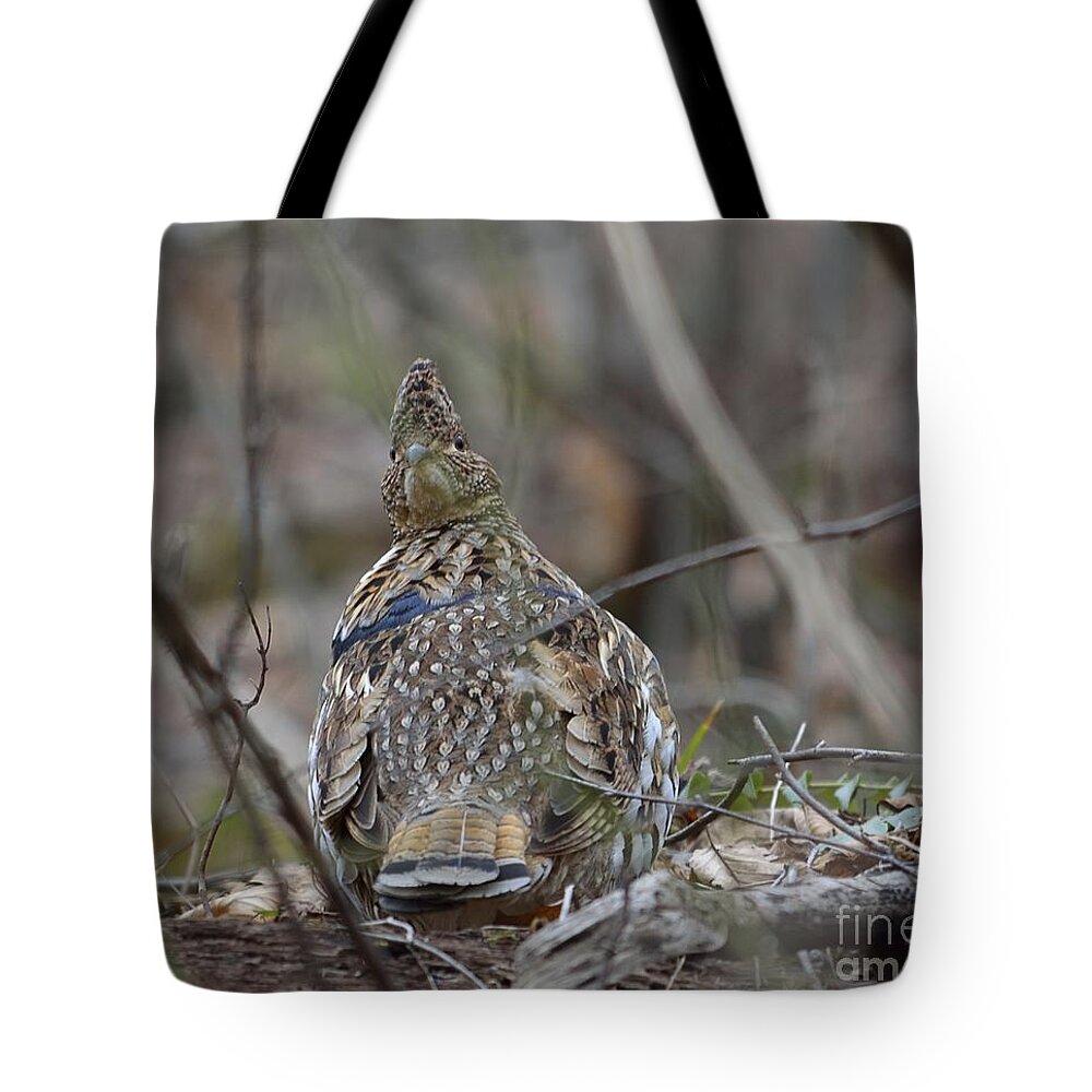 West Virginia Birds Tote Bag featuring the photograph I See You by Randy Bodkins