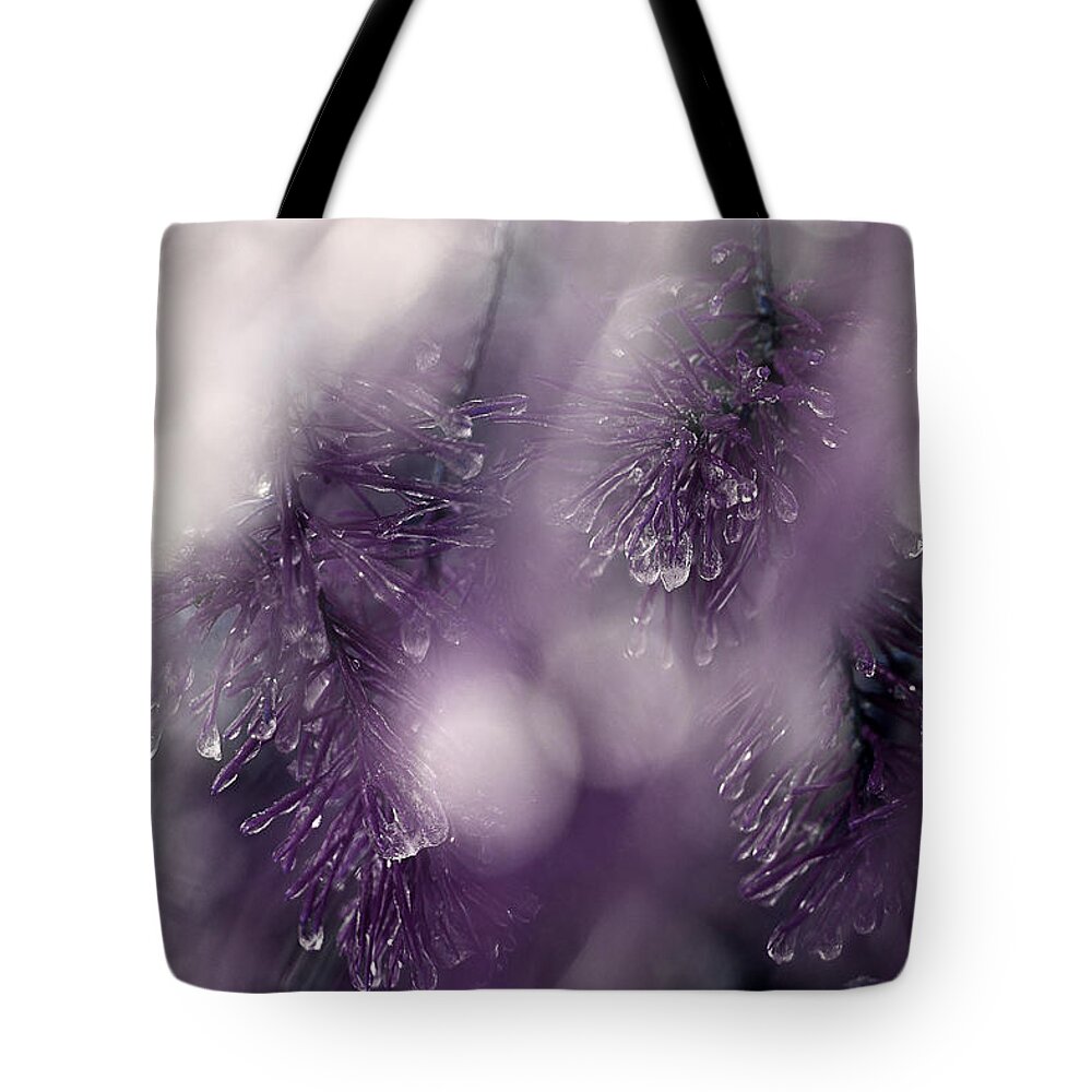 Pine Needles Tote Bag featuring the photograph I Still Search For You by Michael Eingle