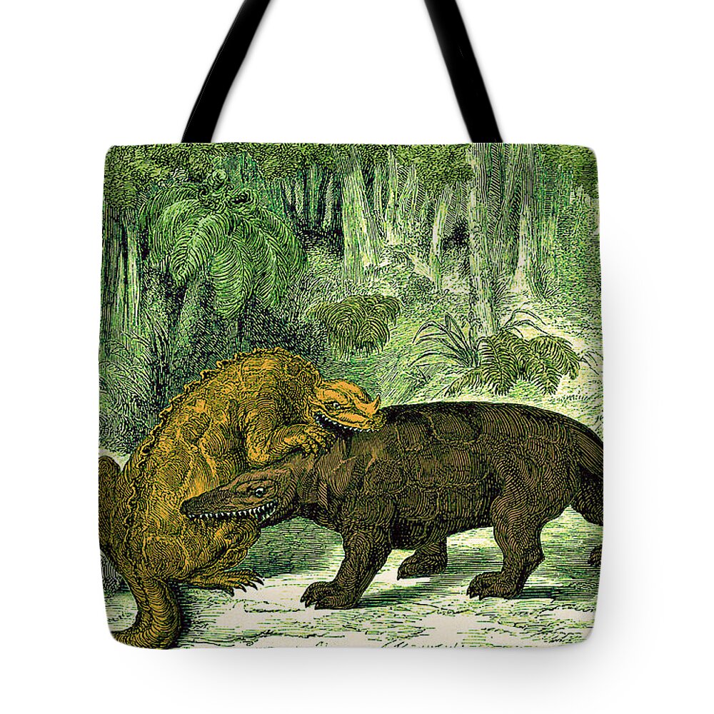 Historic Tote Bag featuring the photograph Iguanodon Biting Megalosaurus #1 by Wellcome Images