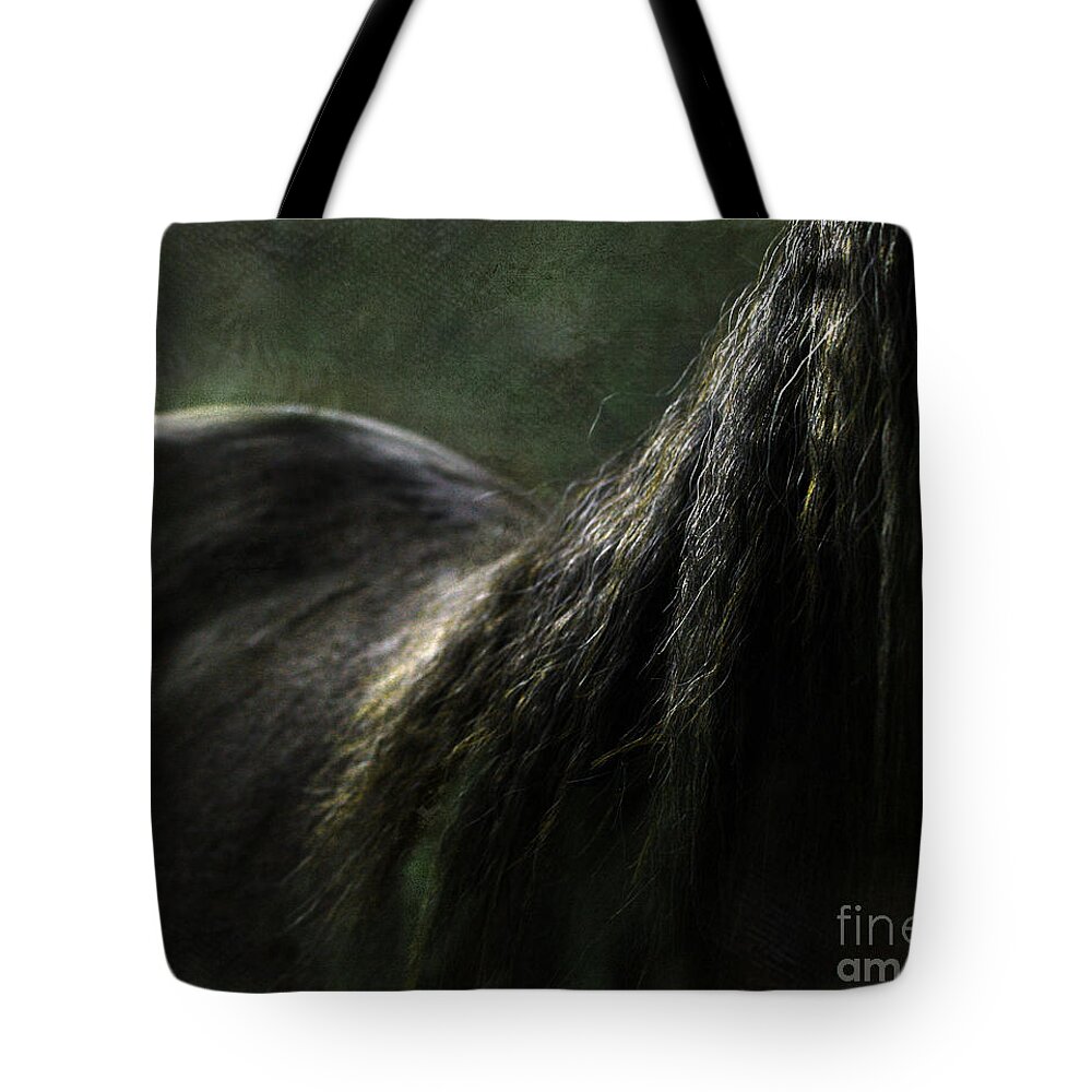 Horse Tote Bag featuring the photograph In The Darkness #1 by Ang El