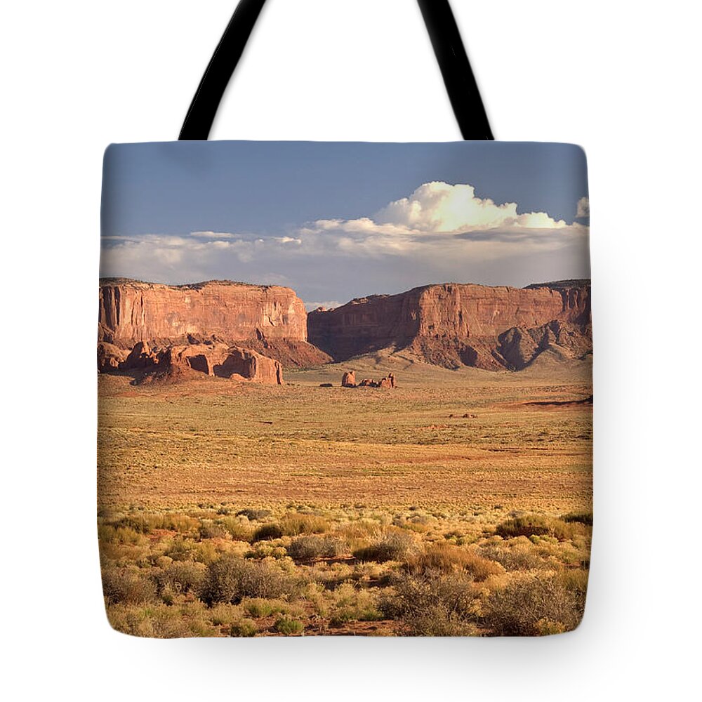 Toughness Tote Bag featuring the photograph Inner Canyon Landscape #1 by John Elk
