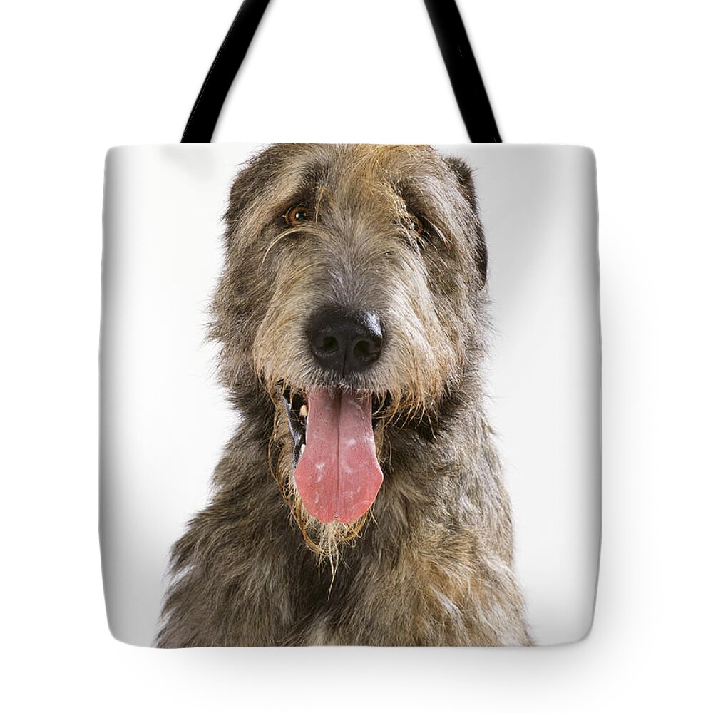 Dog Tote Bag featuring the photograph Irish Wolfhound #1 by John Daniels