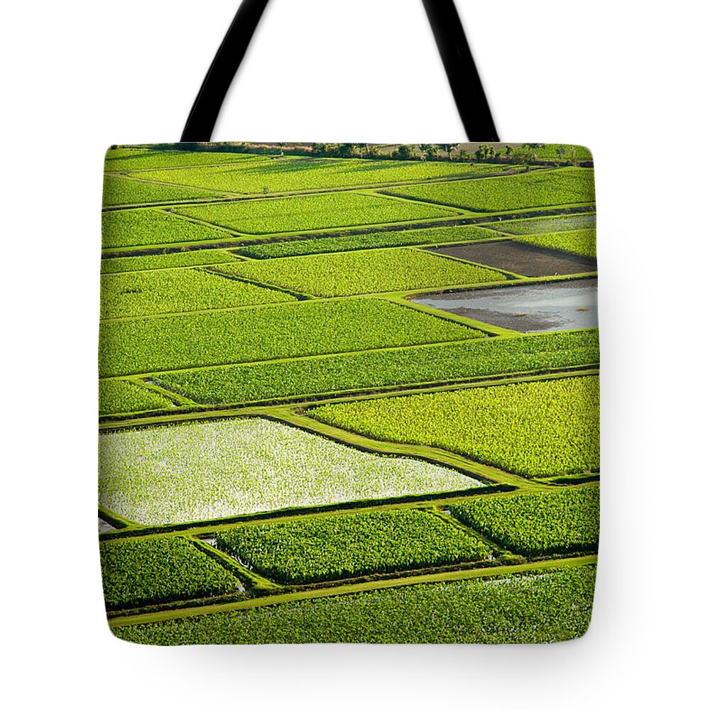 Kauai Tote Bag featuring the photograph Kauai Taro Fields #1 by Roger Mullenhour