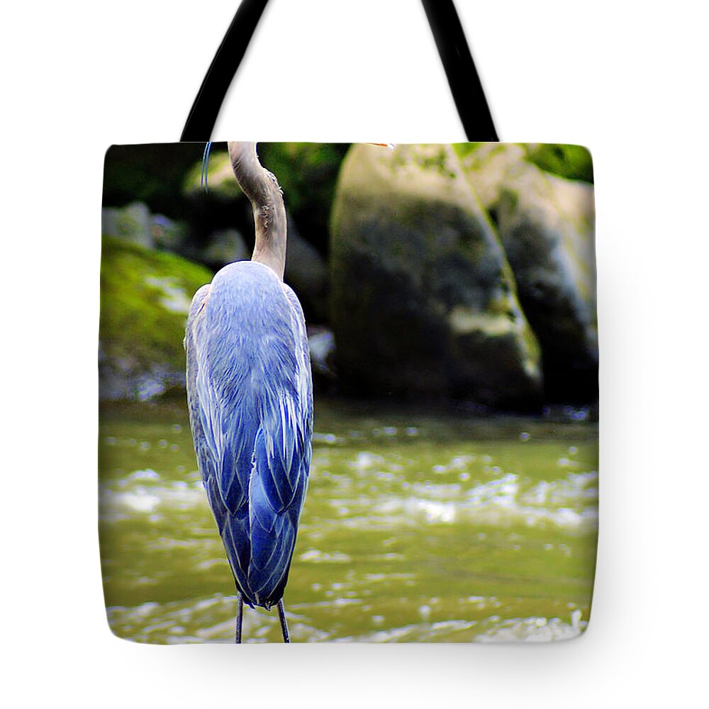 Blue Herron Tote Bag featuring the photograph Keeping Watch #1 by Michelle Joseph-Long