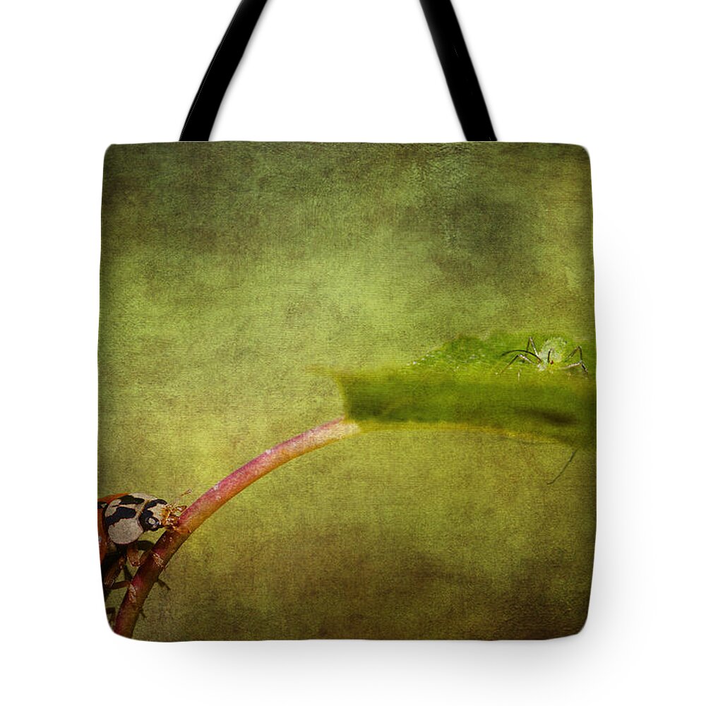 Ladybird Tote Bag featuring the photograph Looking for dinner #1 by Chris Smith