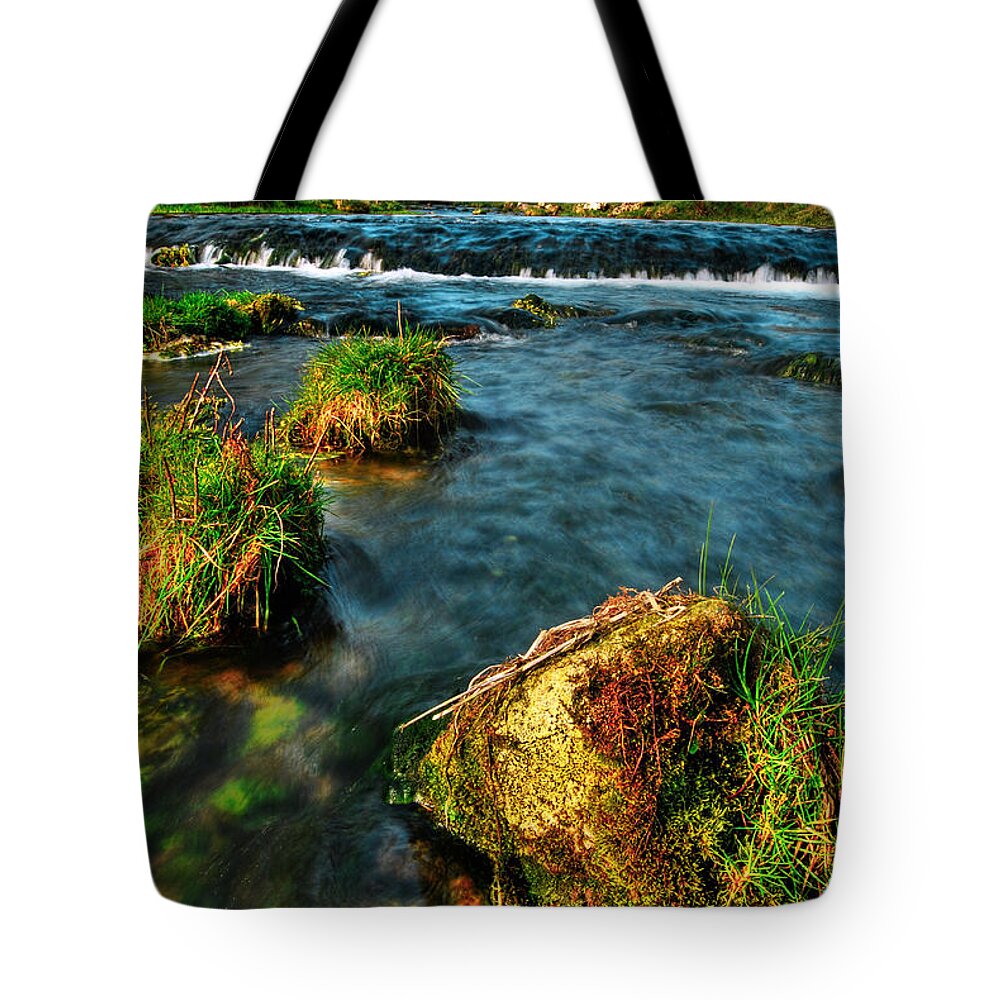  Tote Bag featuring the photograph Lwv20042 #1 by Lee Winter