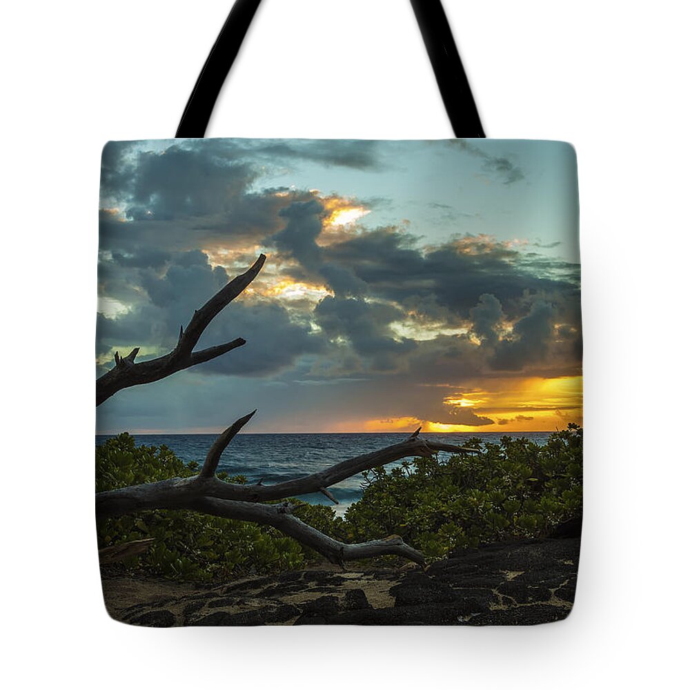 Aqua Tote Bag featuring the photograph Makapuu Sunrise 5 #1 by Leigh Anne Meeks