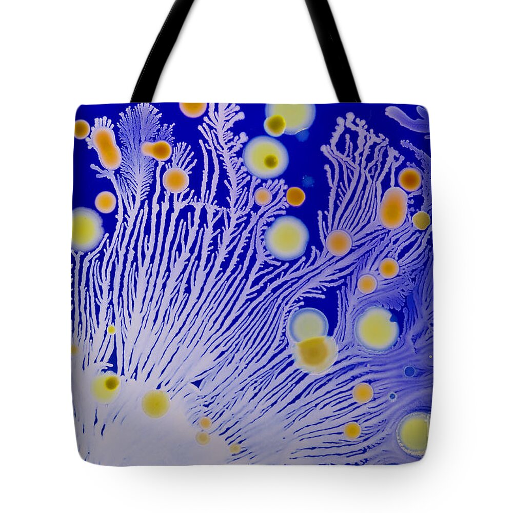 Bacteria Tote Bag featuring the photograph Marine Actinomycetes #1 by Charlotte Raymond