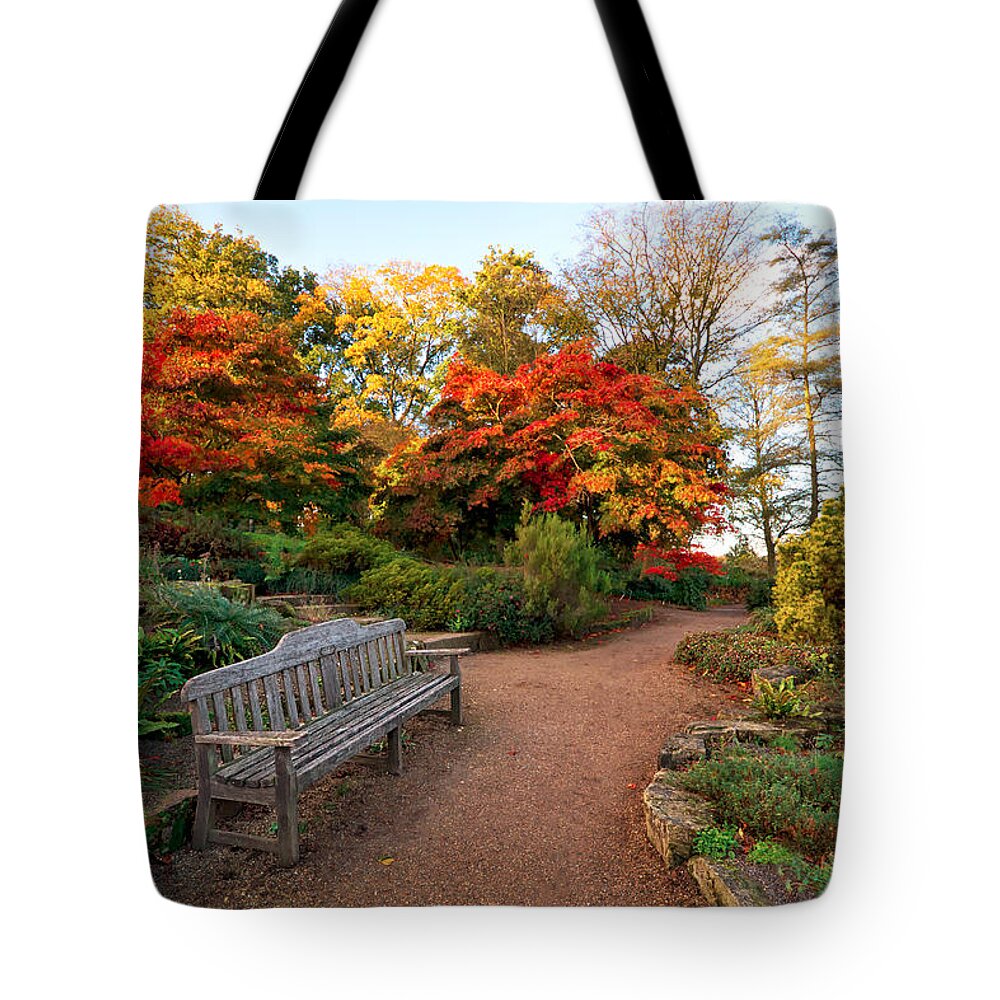 Landscape Tote Bag featuring the photograph Morning light by Shirley Mitchell
