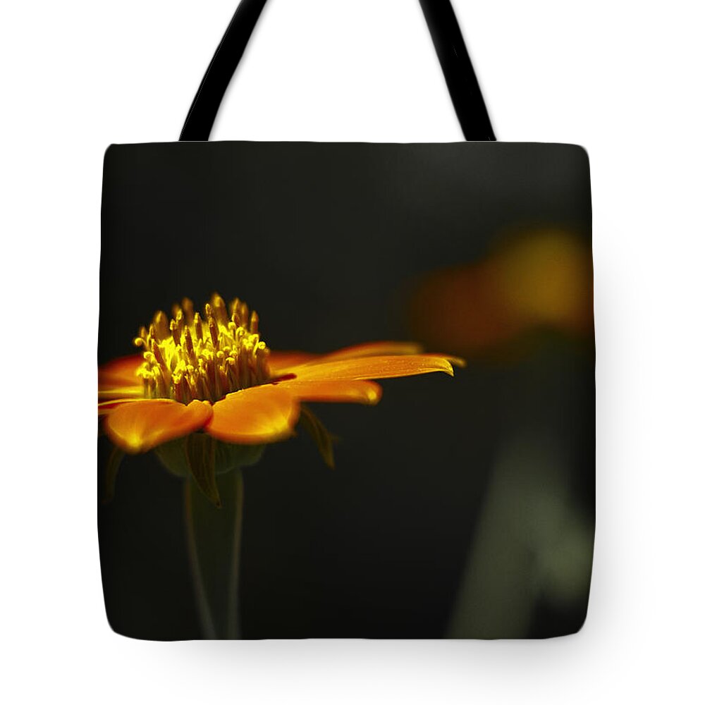 Flower Tote Bag featuring the photograph Orange Flower #1 by Bradley R Youngberg