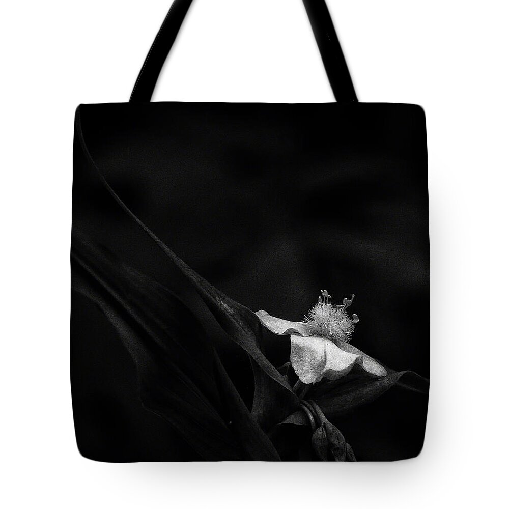 Black And White Tote Bag featuring the photograph Ozark Spiderwort Near Broadwater Falls #1 by Michael Dougherty