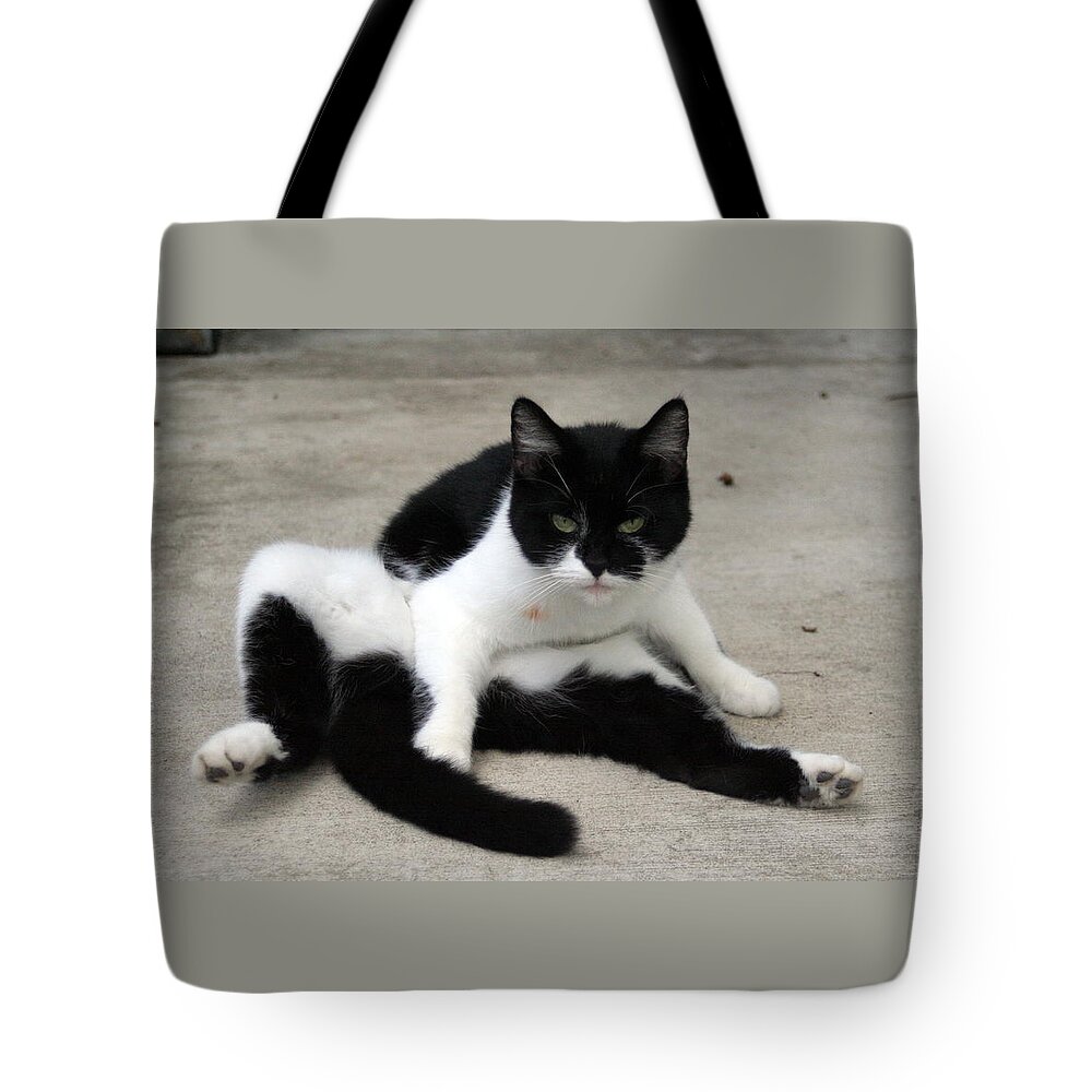 Cat Tote Bag featuring the photograph Black and White Tuxedo Cat by Valerie Collins