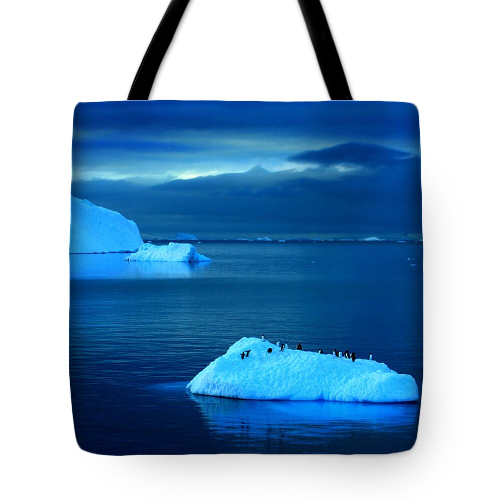 Icebergs Tote Bag featuring the photograph Penguins on Iceberg #1 by Amanda Stadther
