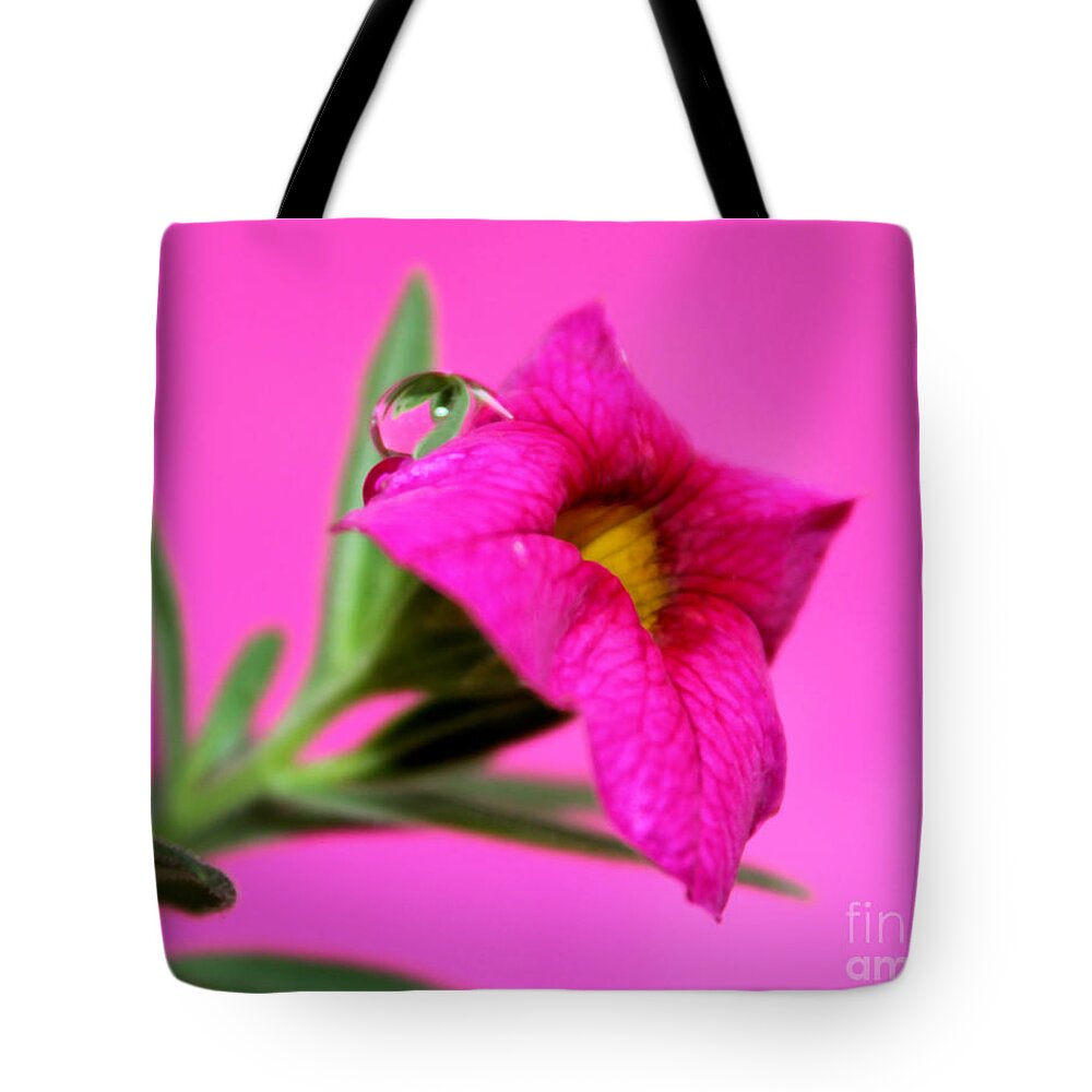 Pink Petunia Tote Bag featuring the photograph Perfectly Pink #1 by Krissy Katsimbras