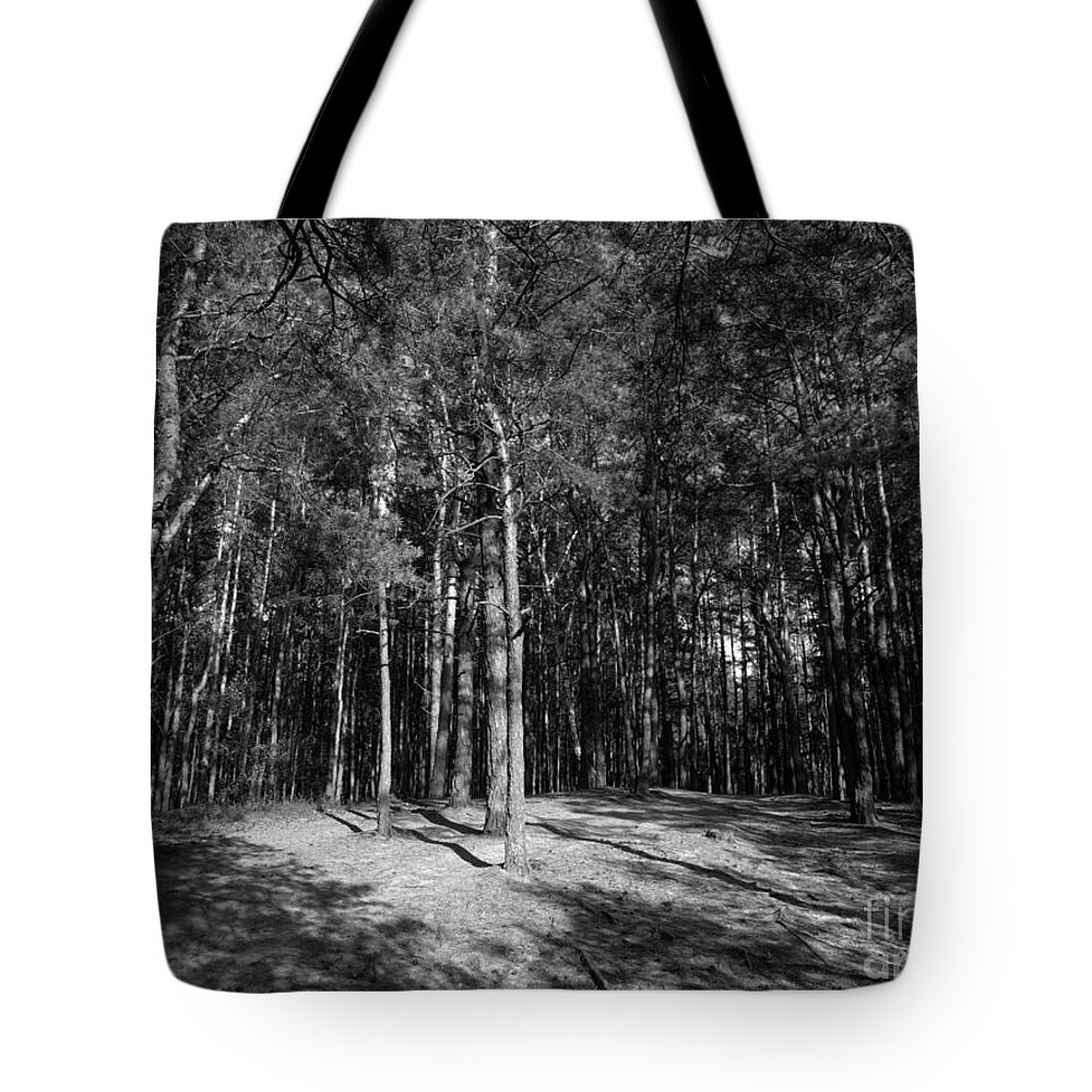 Landscape Tote Bag featuring the photograph Pine Wood by Dariusz Gudowicz