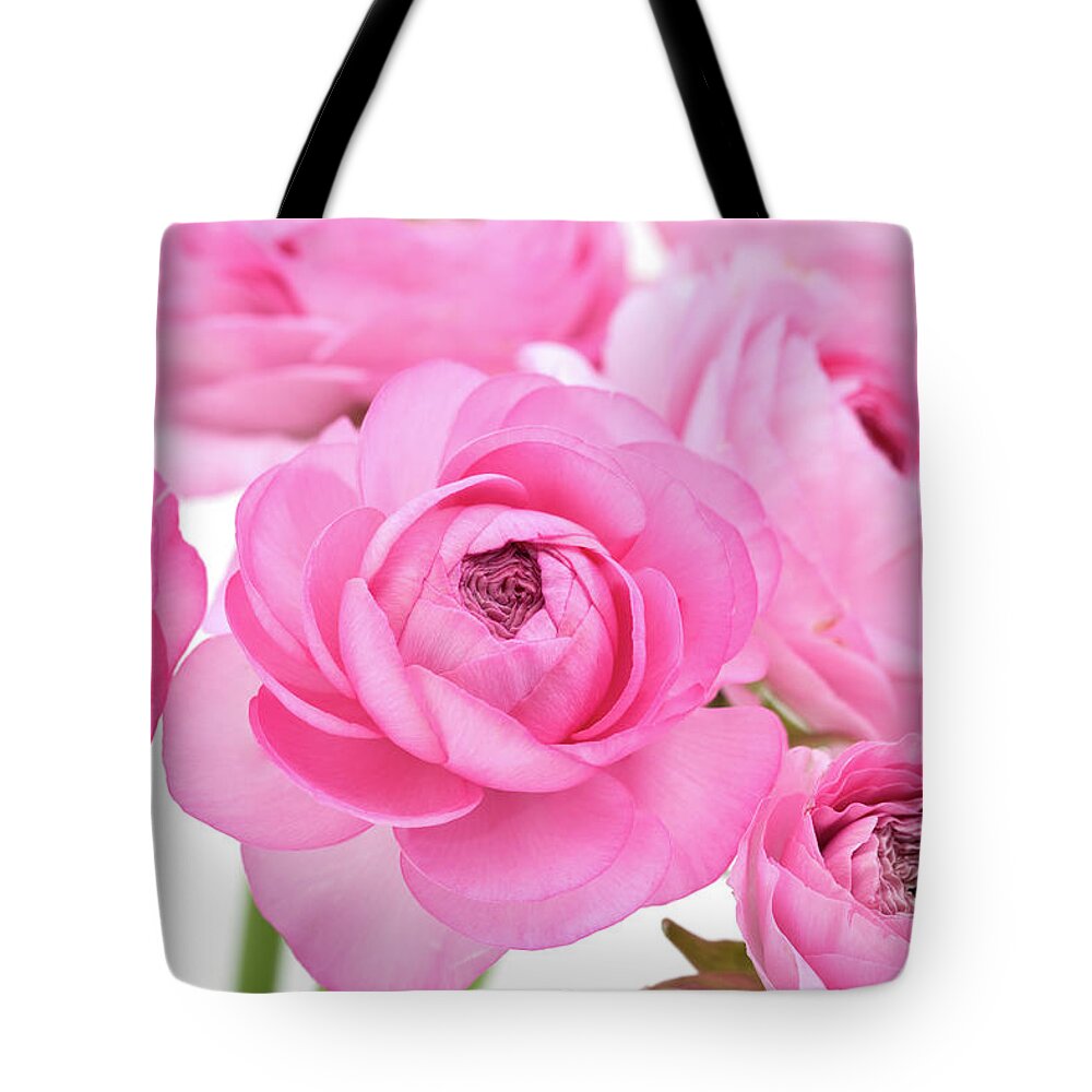 White Background Tote Bag featuring the photograph Pink Ranunculus #1 by Ursula Alter