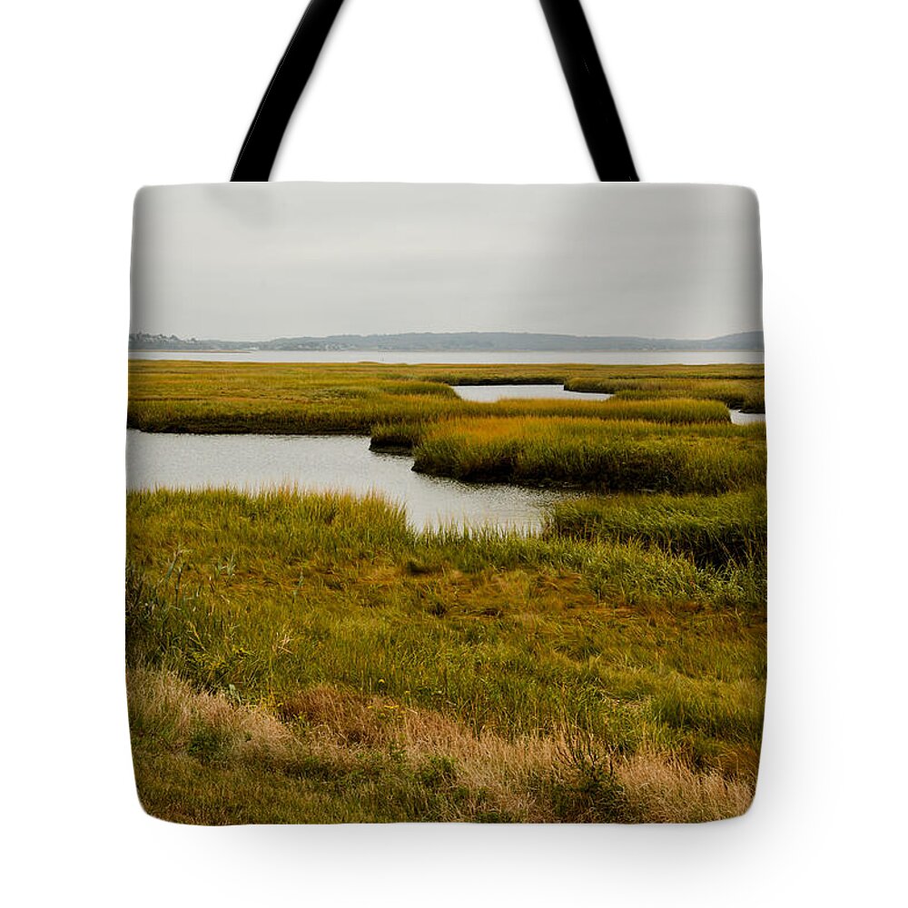 Massachusetts Tote Bag featuring the photograph Plum Island Marshes in Autumn 1 by Nancy De Flon