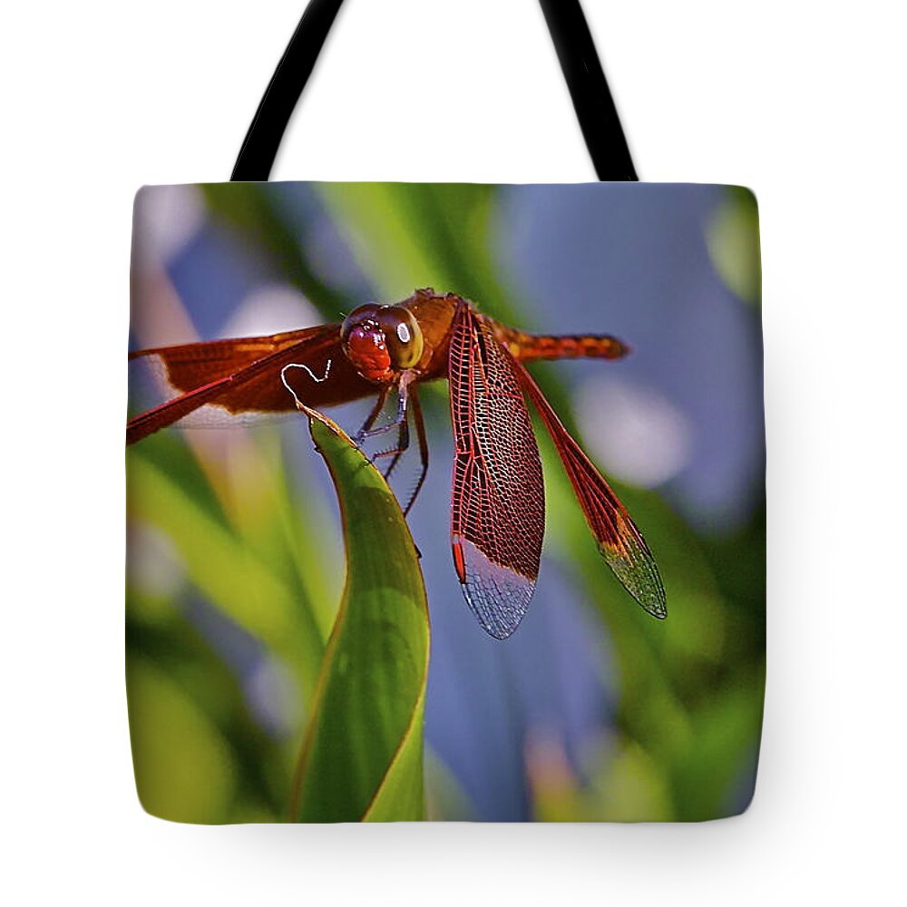 Dragonfly Tote Bag featuring the photograph Poised #1 by Jocelyn Kahawai