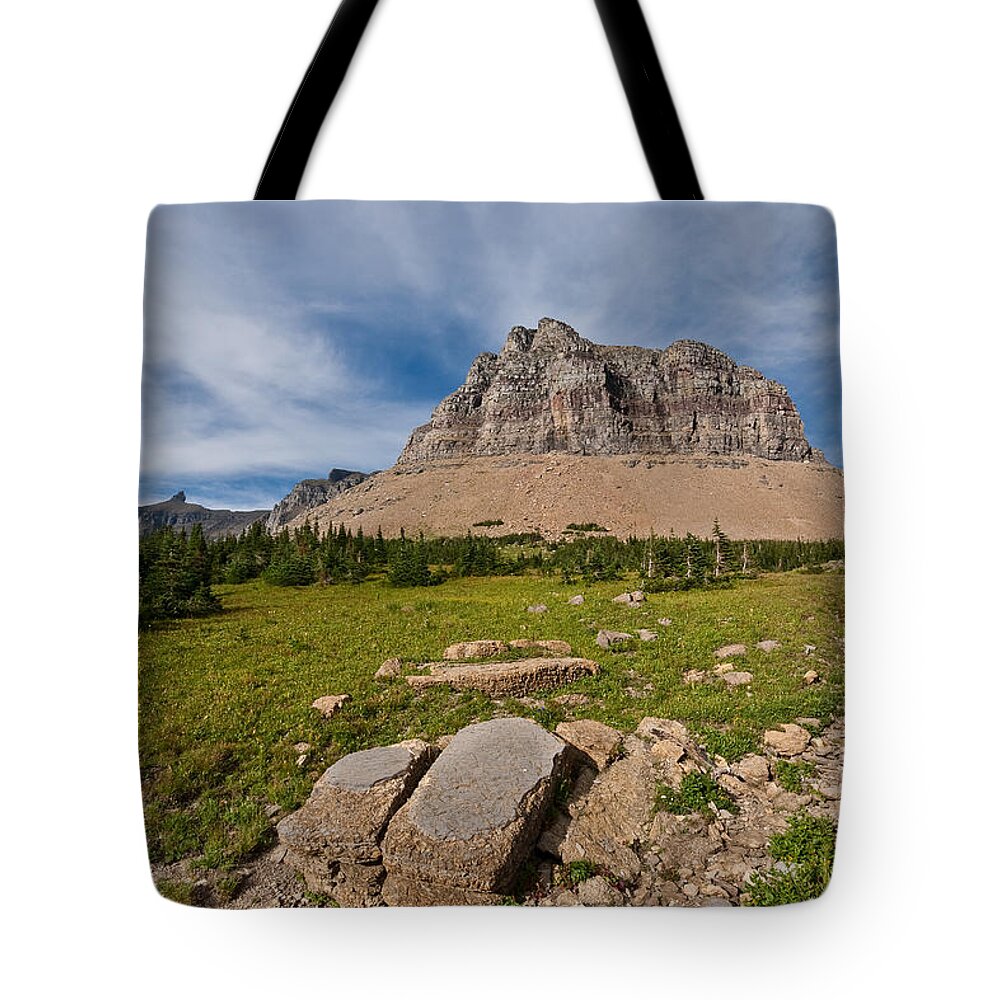 Alpine Tote Bag featuring the photograph Pollock Mountain from Logan Pass by Jeff Goulden