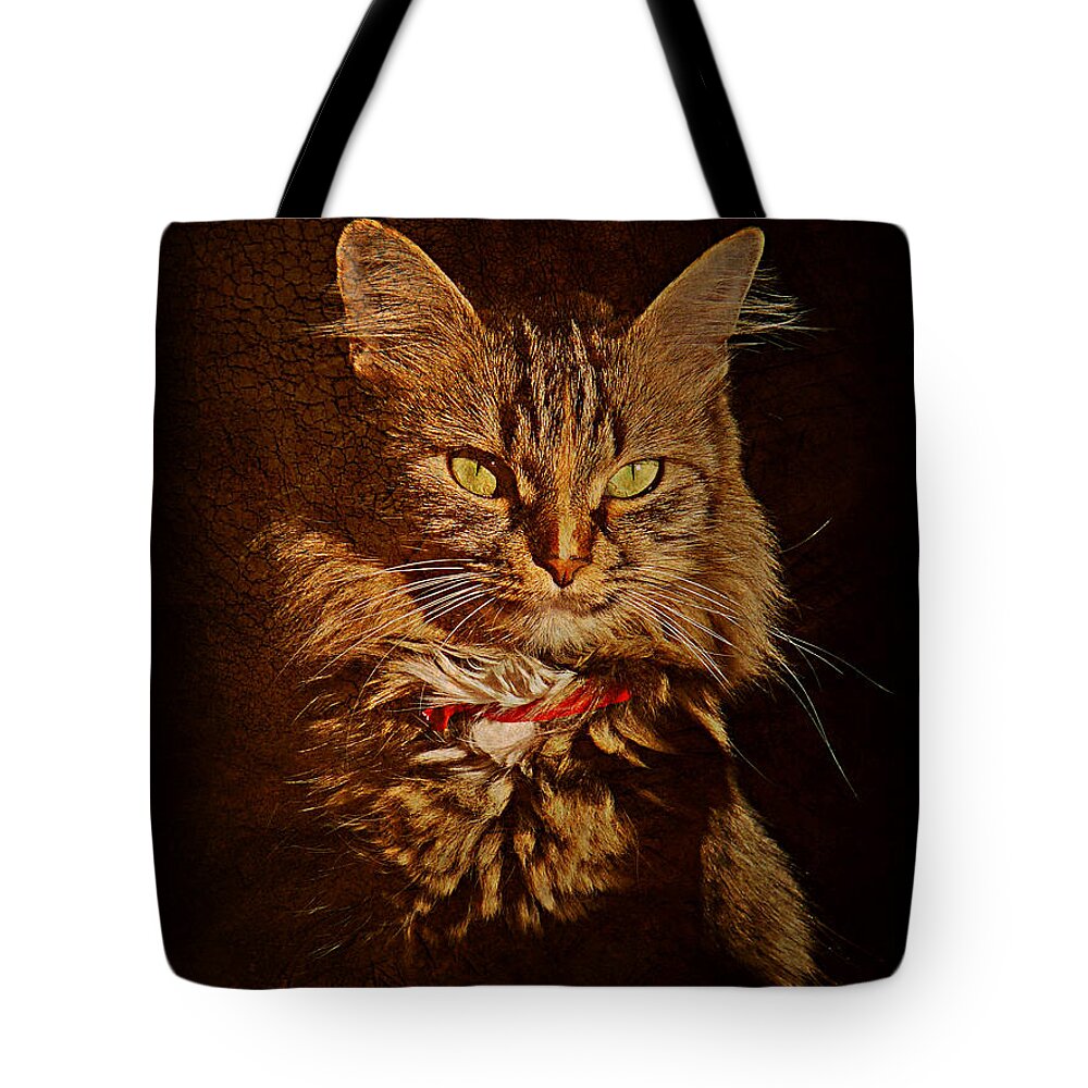 Cat Tote Bag featuring the photograph Portrait of a tramp cat #2 by Binka Kirova