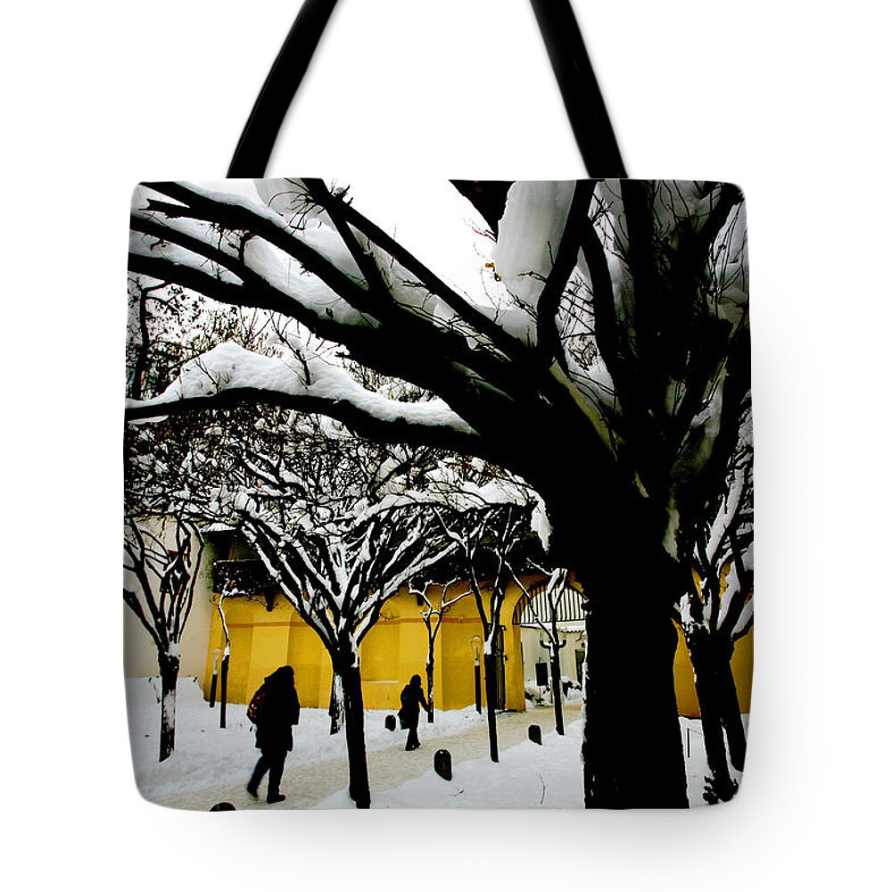 Winter Tote Bag featuring the photograph Prague Winter by Paul Sutcliffe