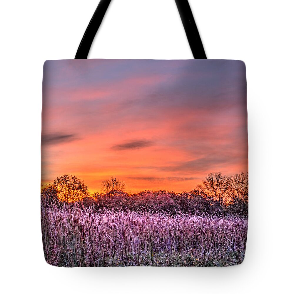 Pictorial Tote Bag featuring the photograph Illinois Prairie Moments Before Sunrise by Roger Passman
