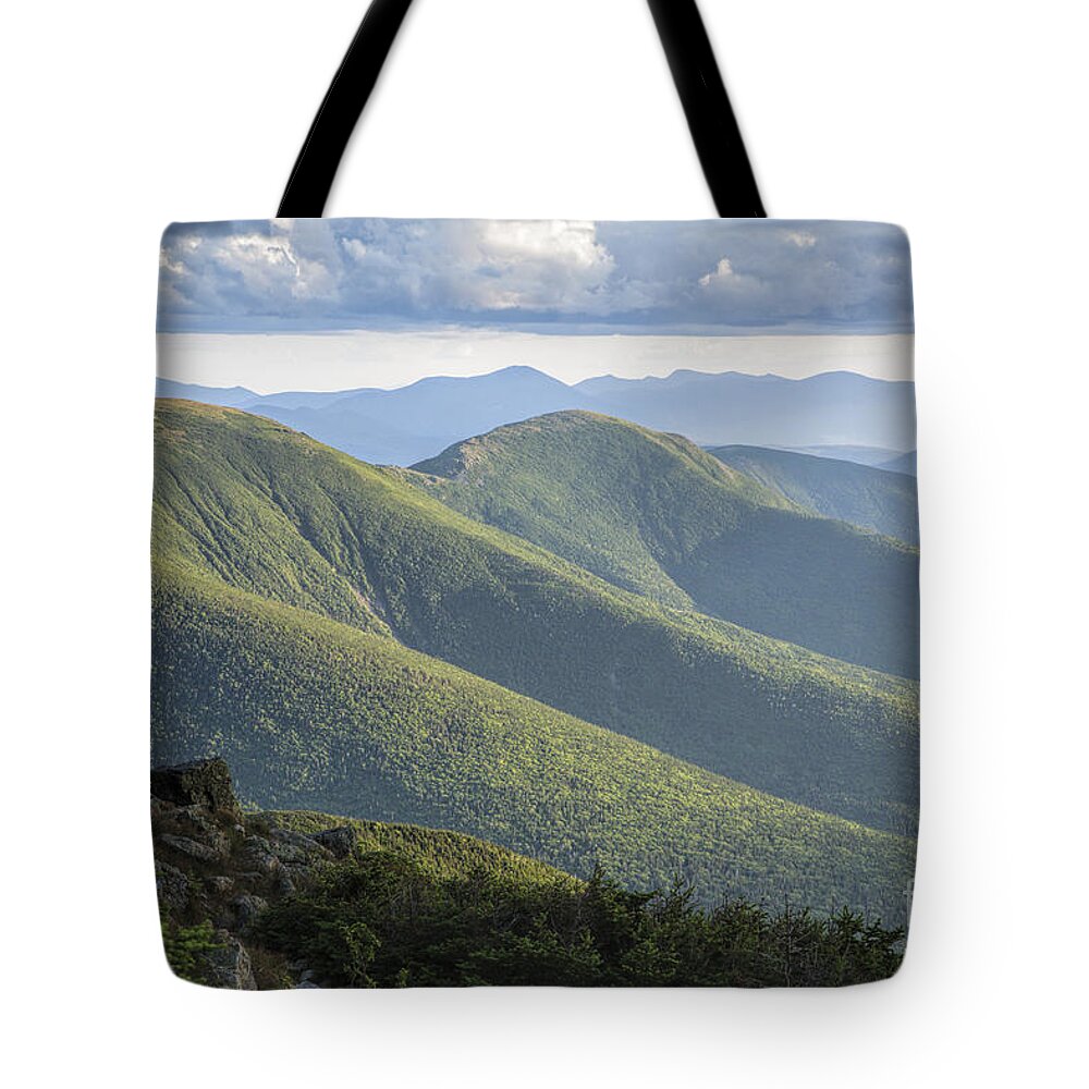 Black Spruce - Balsam Fir Krummholz Tote Bag featuring the photograph Presidential Range - White Mountains New Hampshire #1 by Erin Paul Donovan