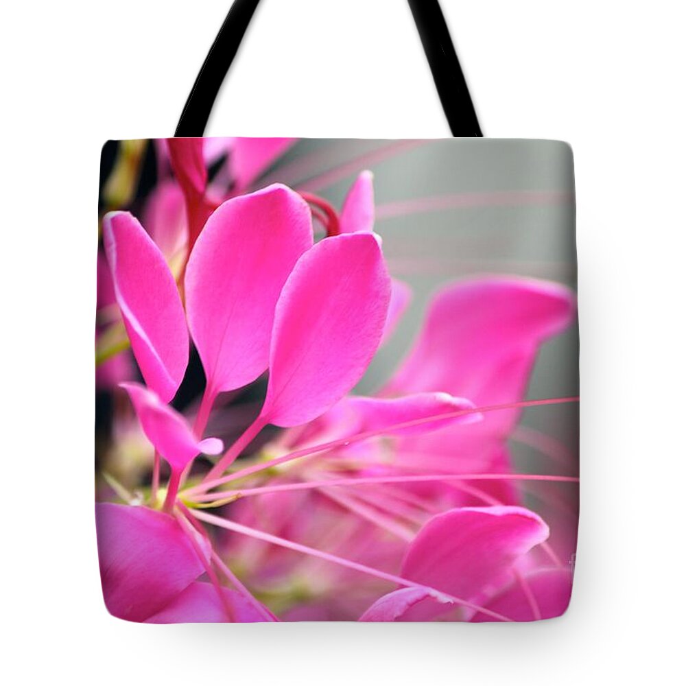Pink Flowers Tote Bag featuring the photograph Pretty in pink by Deena Withycombe