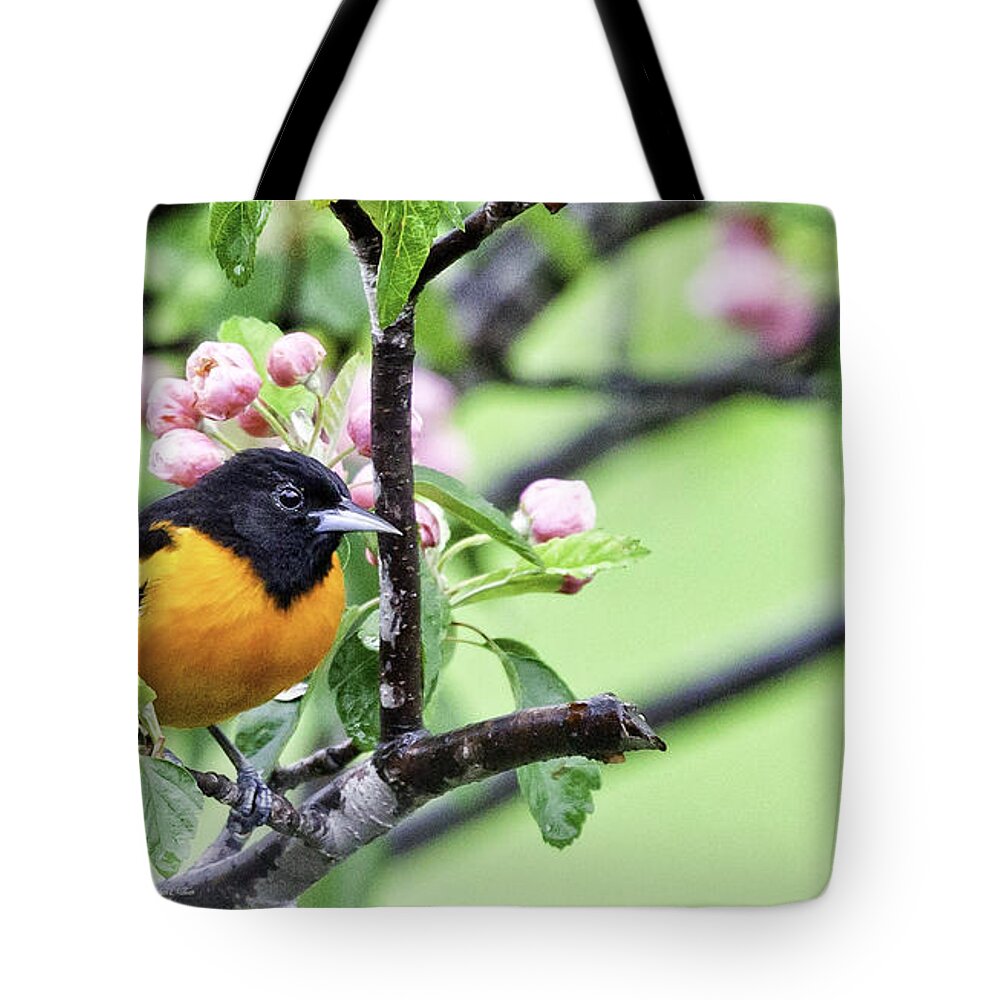 Baltimore Oriole Tote Bag featuring the photograph Pretty in Pink #1 by Jan Killian