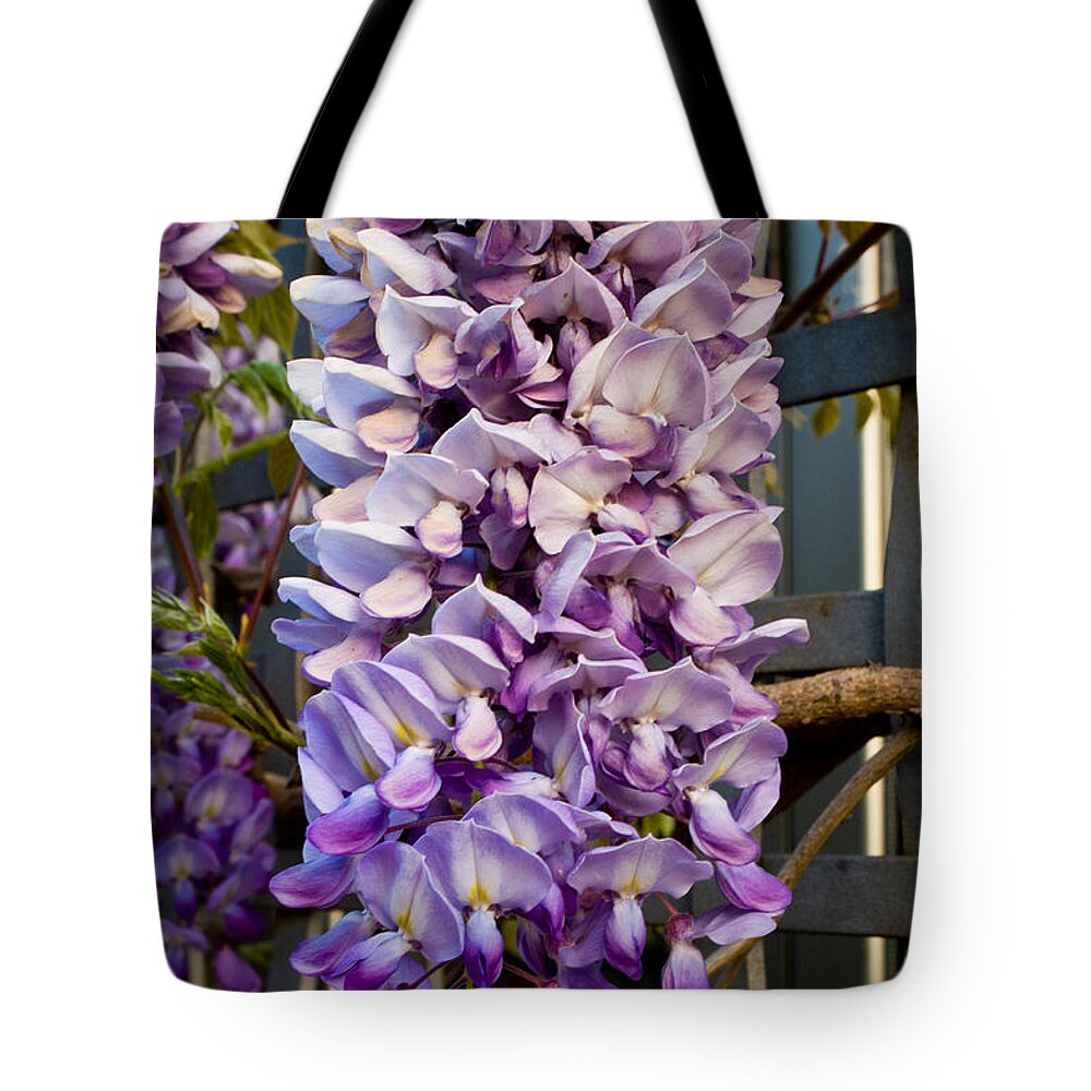  Tote Bag featuring the photograph Purple Orchid Like Flower #1 by James Gay