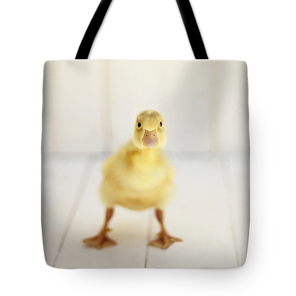 Duck Art Tote Bag featuring the photograph Ready to Rumble #2 by Amy Tyler