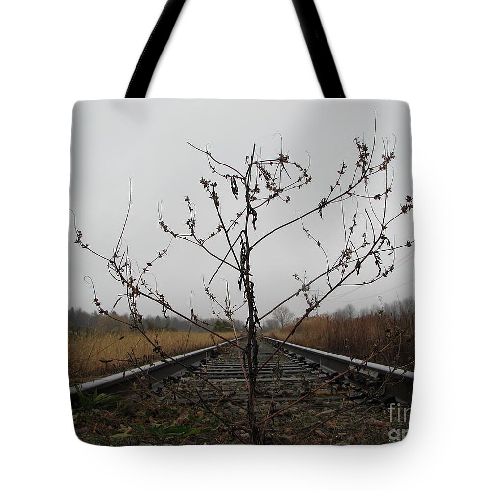 Tree Tote Bag featuring the photograph Rebirth #1 by Michael Krek