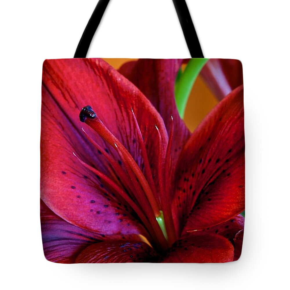 Flower Of The Day Tote Bag featuring the photograph Red Lily #1 by Jade Moon 