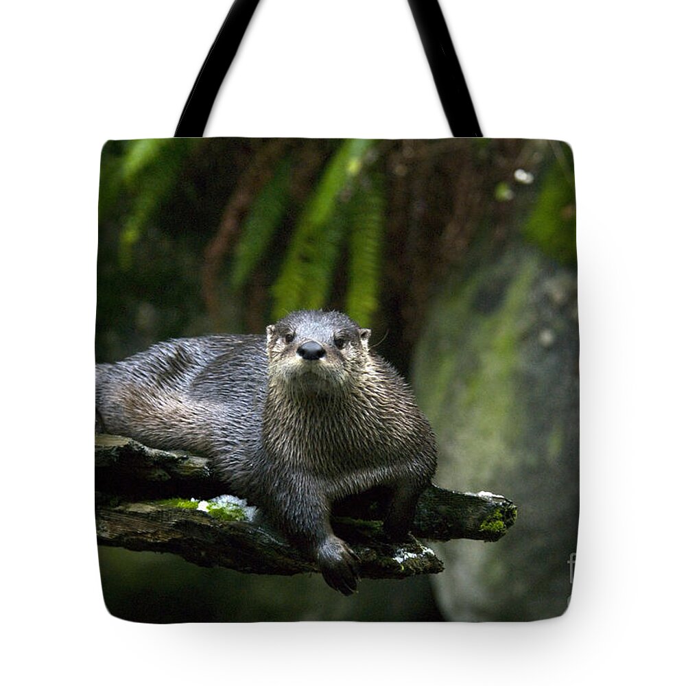 River Otter Tote Bag featuring the photograph River Otter #1 by Mark Newman