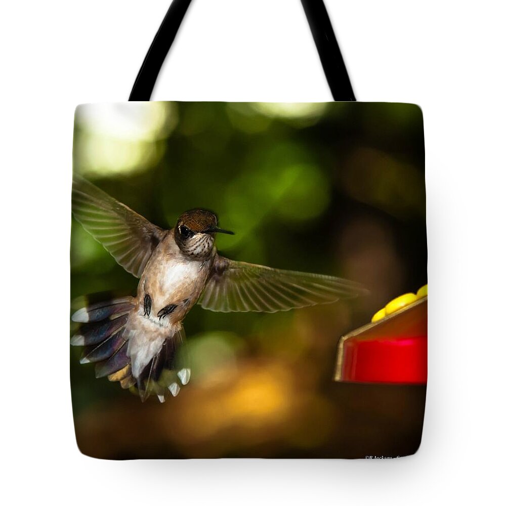 Ruby Throated Hummingbird Tote Bag featuring the photograph Ruby Throated Hummingbird #1 by Robert L Jackson