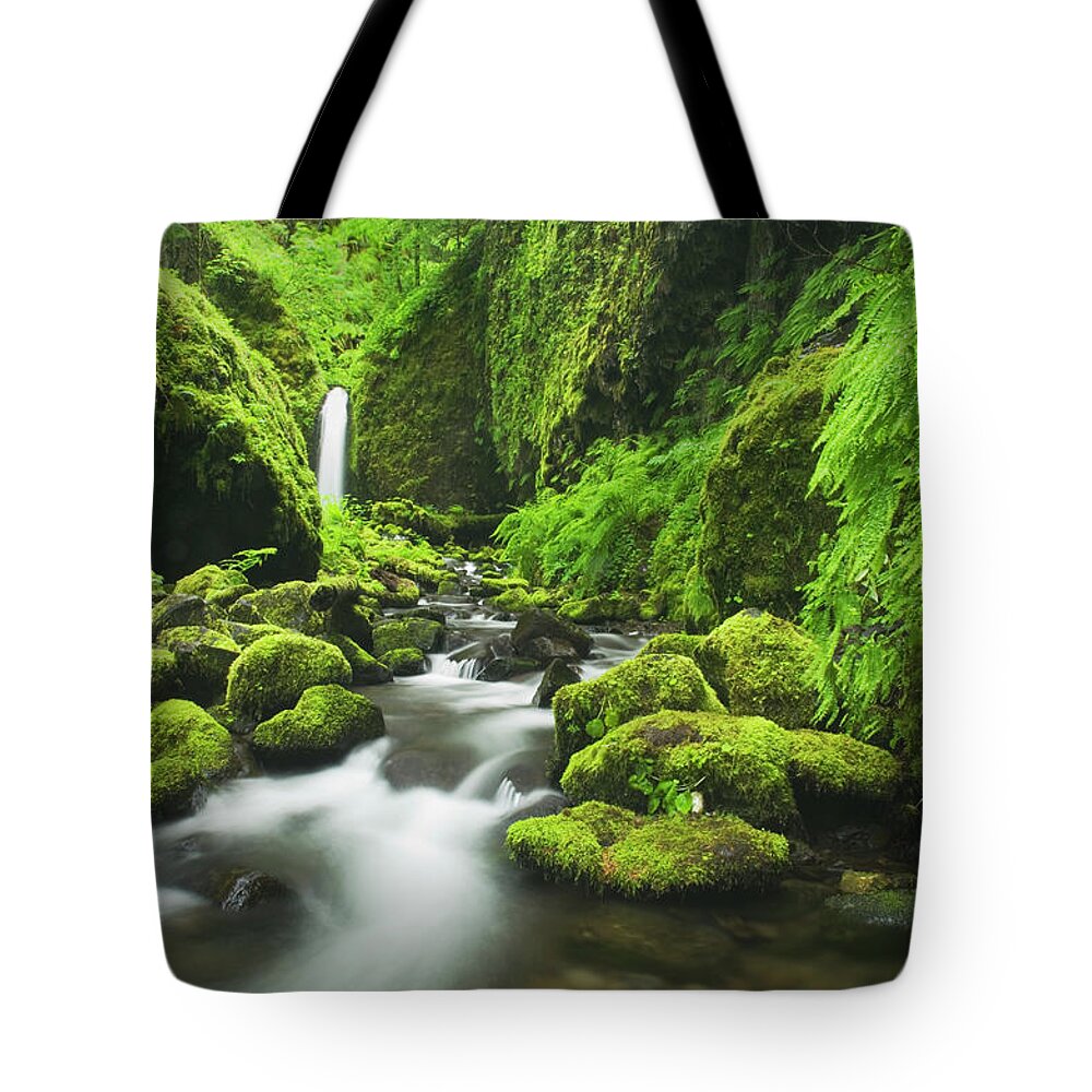 Grass Tote Bag featuring the photograph Ruckel Creek Waterfall, Columbia River #1 by Alan Majchrowicz