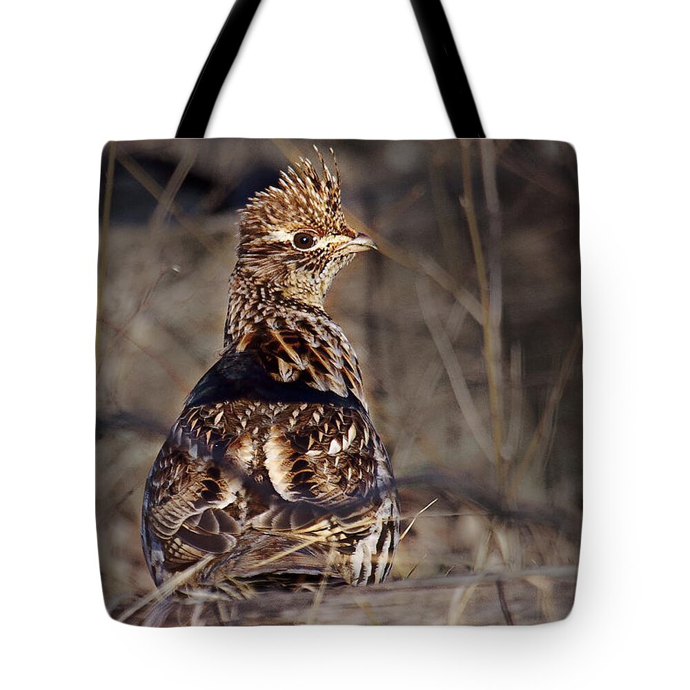 Bedford Tote Bag featuring the photograph Ruffed Grouse #1 by Ronald Lutz