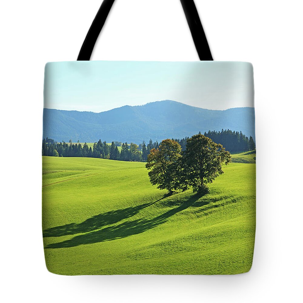 Scenics Tote Bag featuring the photograph Rural Landscape, Bavaria, Germany #1 by Hiroshi Higuchi